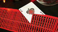 Bicycle Koi Playing Cards - Got Magic?