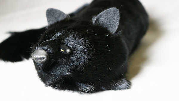 Black Fox Spring Animal by Magic Masters - Trick - Got Magic?