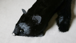 Black Fox Spring Animal by Magic Masters - Trick - Got Magic?