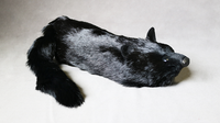 Black Fox Spring Animal by Magic Masters - Trick - Got Magic?