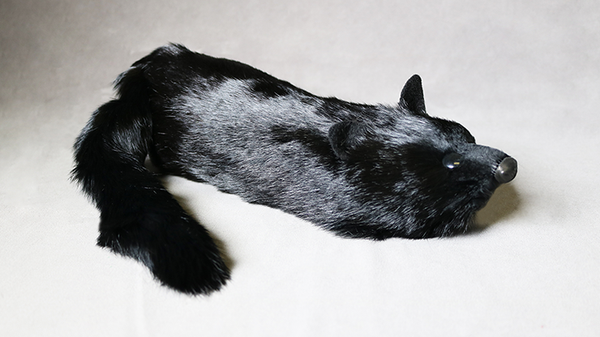 Black Fox Spring Animal by Magic Masters - Trick - Got Magic?