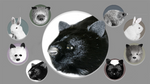 Black Fox Spring Animal by Magic Masters - Trick - Got Magic?