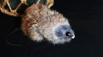 Judy Mouse Finger Puppet by Magic Masters - Trick - Got Magic?