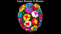 Super Botania 55 Blooms by Tora Magic - Trick - Got Magic?