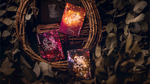 Bicycle Constellation Series (Taurus) Playing Cards - Got Magic?
