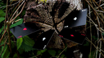 Wood Element (Black) Playing Cards - Got Magic?