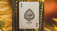 Deluxe Lone Star Playing Cards by Pure Imagination Project - Got Magic?