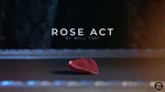 Visual Matrix AKA Rose Act Elegant Gold (Gimmick and Online Instructions) by Will Tsai and SansMinds - Trick - Got Magic?
