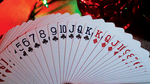 Bicycle Limited Edition Carnival Playing Cards - Got Magic?
