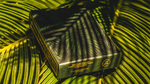 Deluxe Edition Livingstone Playing Cards by Pure Imagination Projects - Got Magic?