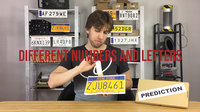 LICENSE PLATE PREDICTION - NEW YORK (Gimmicks and Online Instructions) by Martin Andersen - Trick - Got Magic?