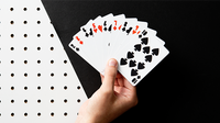 Off the Wall Playing Cards by Art of Play - Got Magic?