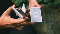 WH Playing Cards - Got Magic?