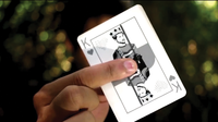 WH Playing Cards - Got Magic?