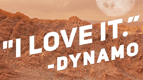 Stellar by Alchemy Insiders - Got Magic?