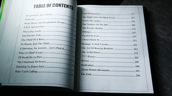 A State of Mind by Dennis Hermanzo - Book - Got Magic?