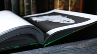 A State of Mind by Dennis Hermanzo - Book - Got Magic?