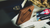 Wooden Support by TCC - Trick - Got Magic?