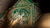 Limited Edition Green Tycoon Playing Cards by theory11 - Got Magic?