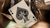 Limited Edition Green Tycoon Playing Cards by theory11 - Got Magic?