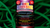 Joe Rindfleisch's SIZE 16 Rainbow Rubber Bands (Marcus Eddie - Green Pack  ) by Joe Rindfleisch - Trick - Got Magic?