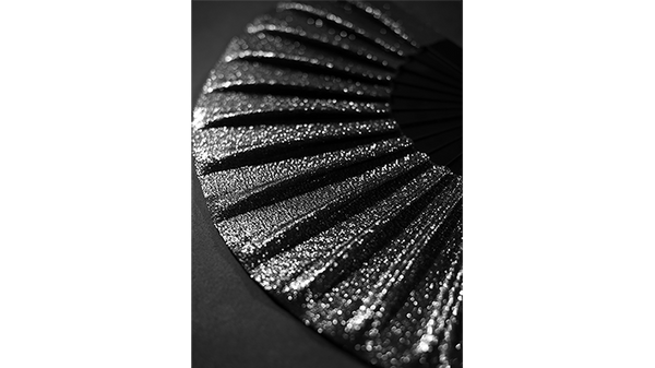Appearing SnowStorming Fan V2 (Dark Silver) by Victor Voitko (Gimmick and Online Instructions) - Trick - Got Magic?