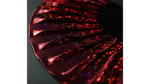 Appearing SnowStorming Fan V2 (Red Hologram) by Victor Voitko (Gimmick and Online Instructions) - Trick - Got Magic?