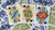 Limited Edition Hustling Joe (Frog Back Green Box) Playing Cards - Got Magic?