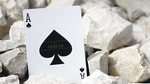 Le Cercle Playing Cards - Got Magic?