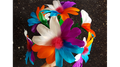 Alis Flower by Black Magic - Trick