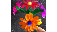 Classic Flower (No.6) by Black Magic - Trick - Got Magic?