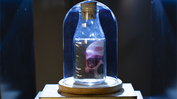 Memento Mori NXS Impossible Bottles by Stanley Yashayev - Got Magic?
