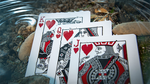 Koi V2 Playing Cards by Byron Leung - Got Magic?