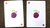 Plum Pi Playing Cards by Kings Wild Project - Got Magic?