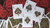 Primordial Greek Mythology Playing Cards (Gold Gilded Aether Edition) - Got Magic?