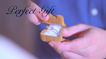 TEDDY (Blue) by Zamm Wong & Magic Action - Trick - Got Magic?