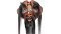 Anima (Gimmick and Online Instructions) by Fraser Parker - Trick