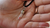 Tiny Prediction by Hugo Valenzuela - Trick - Got Magic?