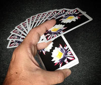 Carpe Noctem - Got Magic?