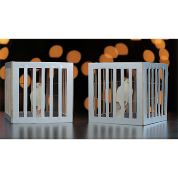 Amazing Cages from Frame by Tora Magic - Trick