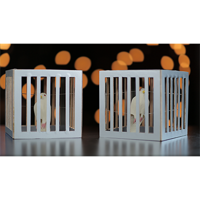 Amazing Cages from Frame by Tora Magic - Trick - Got Magic?