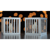 Amazing Cages from Frame by Tora Magic - Trick - Got Magic?
