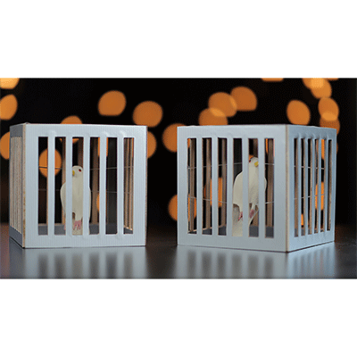 Amazing Cages from Frame by Tora Magic - Trick - Got Magic?
