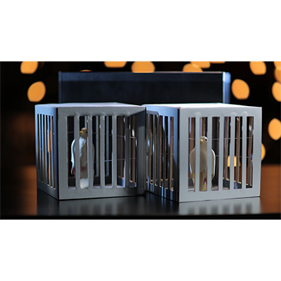 Amazing Cages from Frame by Tora Magic - Trick - Got Magic?