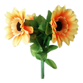 Amazing Split Sunflower by Premium Magic - Trick