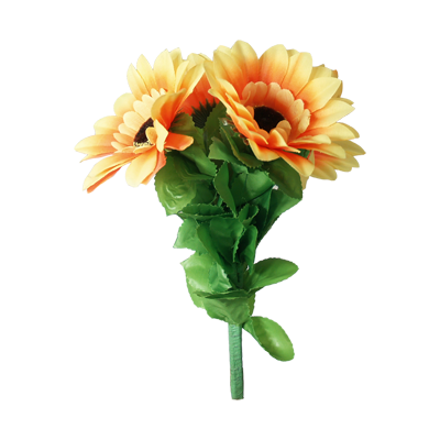 Amazing Split Sunflower by Premium Magic - Trick - Got Magic?