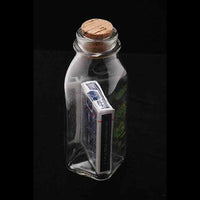 Anything Is Possible Bottle (Red Back Bicycle) by Jamie D. Grant - Trick - Got Magic?