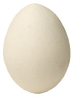 Wooden Egg by Bazar de Magia - Trick - Got Magic?