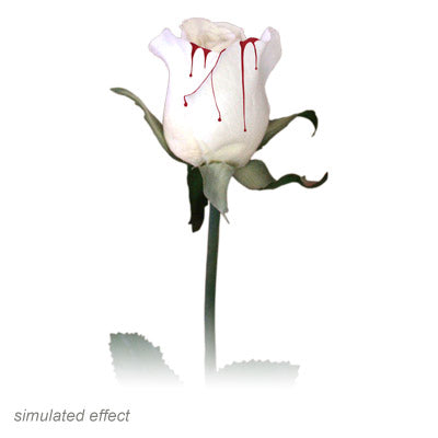 Bleeding Rose by Visual Magic - Trick - Got Magic?