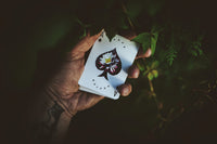 Carpe Noctem - Got Magic?